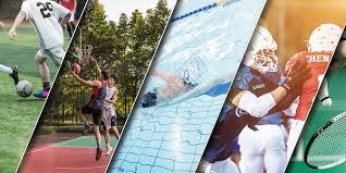 官方：诺里斯确认明年将使用1号作为自己的车号