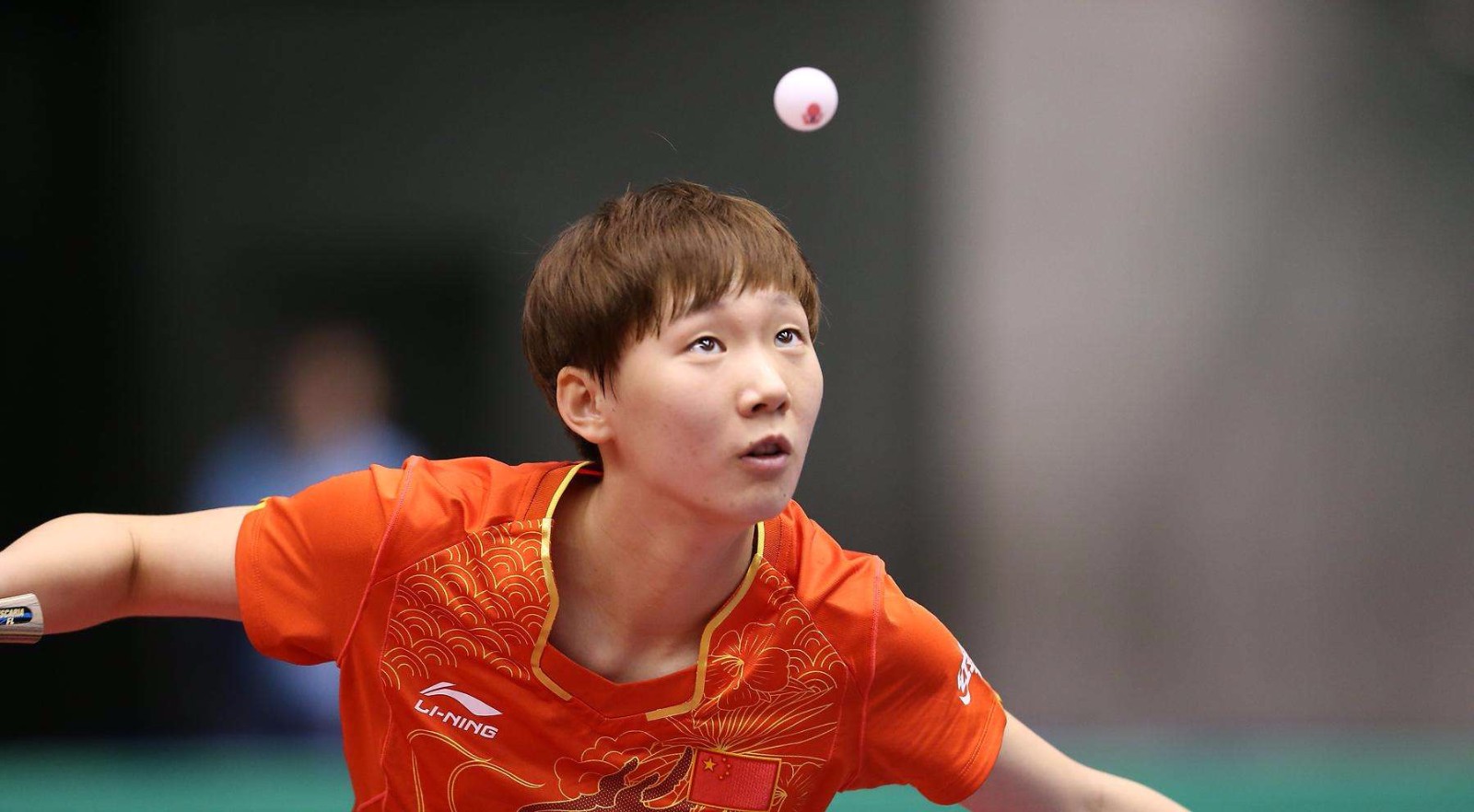 由马丁内利 由马丁内利